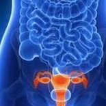 2026年无结婚证做试管要多少钱？南昌市生殖医院大概要十二万左右