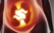 ‌柬埔寨三代试管医院TOP榜更新，成功率较高的竟在这里