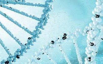 银川做试管婴儿哪个医院成功率排名较高？